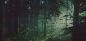 Accompagnements Corps-Esprit & Chamaniques