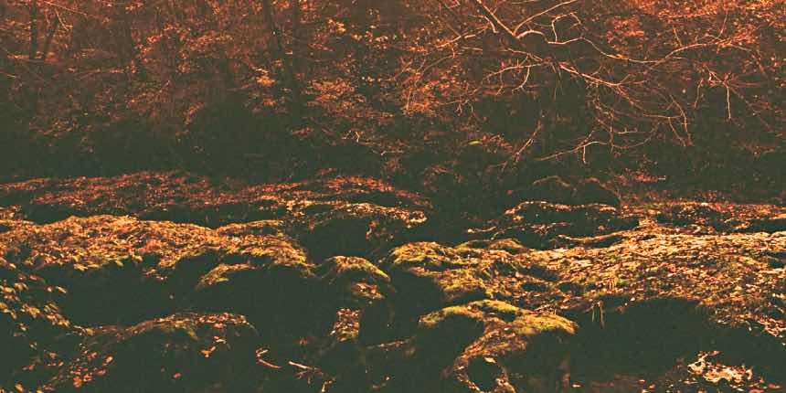 Image de Geste Guérissant